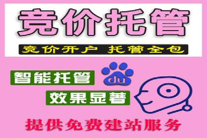 百度推广费用优化策略成功案例分享