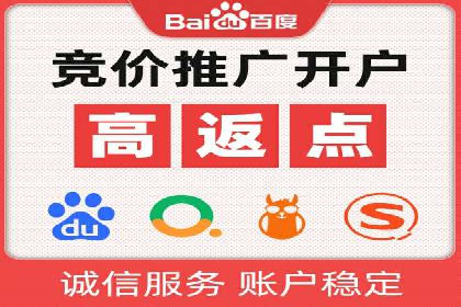 行业标杆：SEM推广代运营成功案例